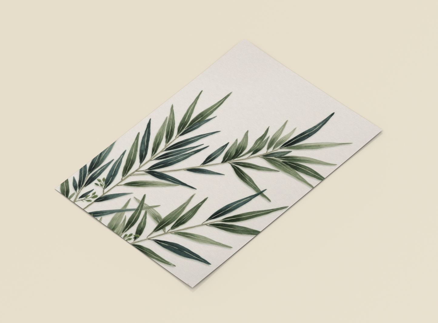 Olive Whispers