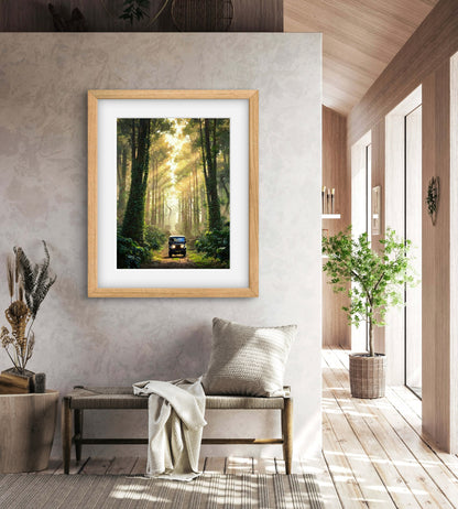 Into the Canopy |Sunlight Through Forest Wall Art – Jeep Adventure Digital Print